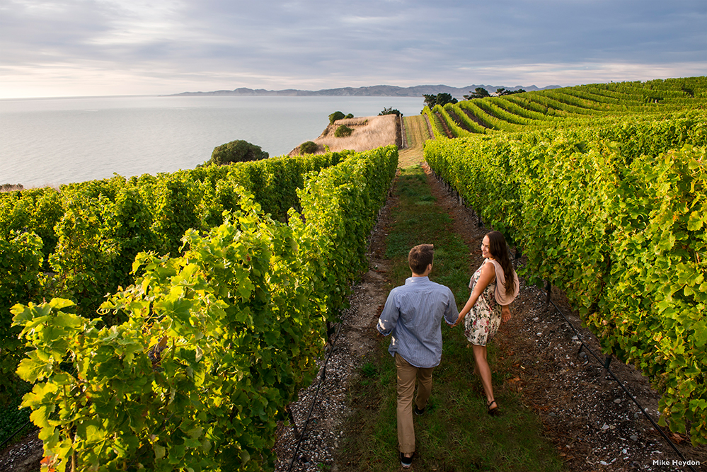 Take time to visit a winery in New Zealand (Photo by Mike Heydon)